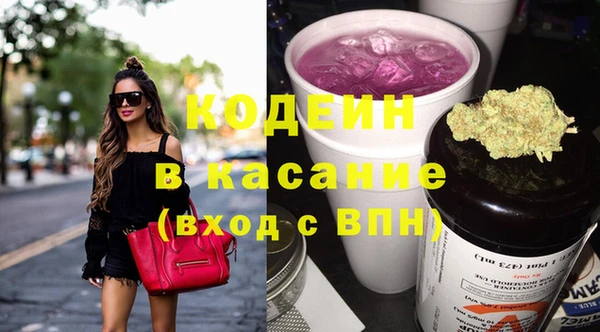 индика Аркадак