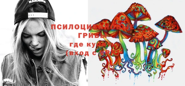 индика Аркадак