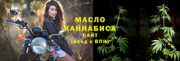 индика Аркадак